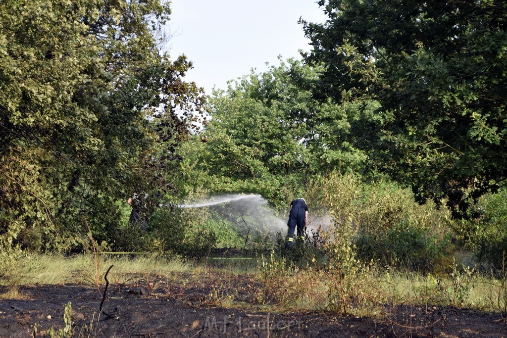 Waldbrand Koeln Hoehenhaus Hoehenfelder Mauspfad P141.JPG - Miklos Laubert